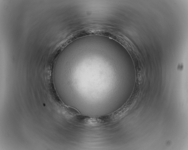X0000090770372200708101815