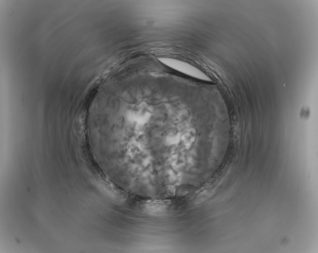 X0000090770373200708101815