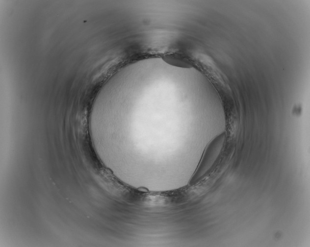 X0000090770376200708101815