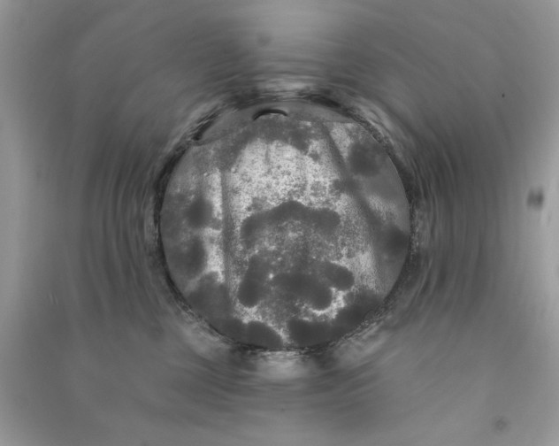 X0000090770377200708101815