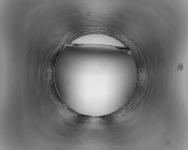 X0000090770379200708101815