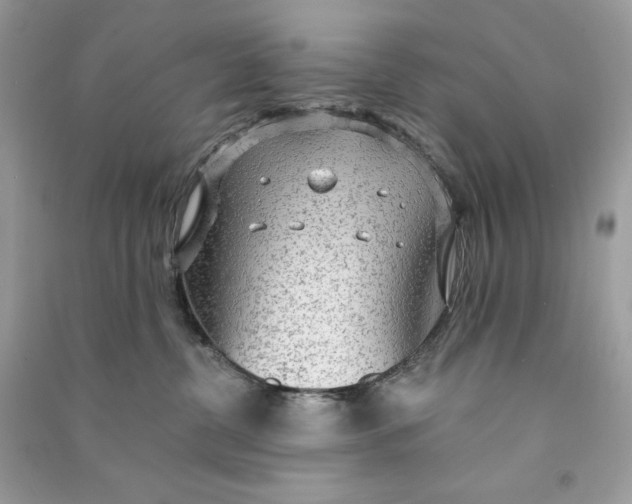 X0000090770380200708101815