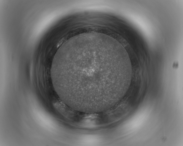 X0000090770382200708101815