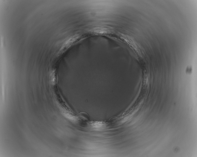 X0000090770383200708101815