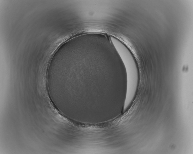 X0000090770385200708101815