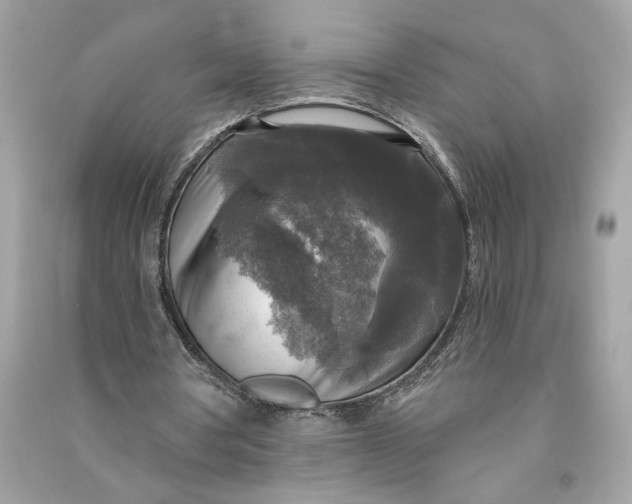 X0000090770386200708101815