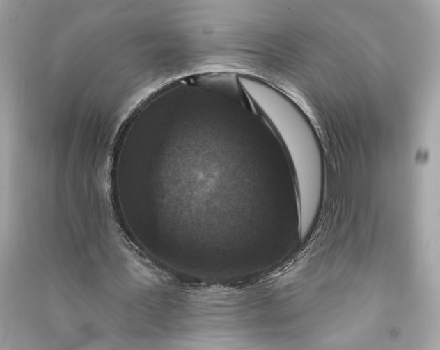 X0000090770387200708101815