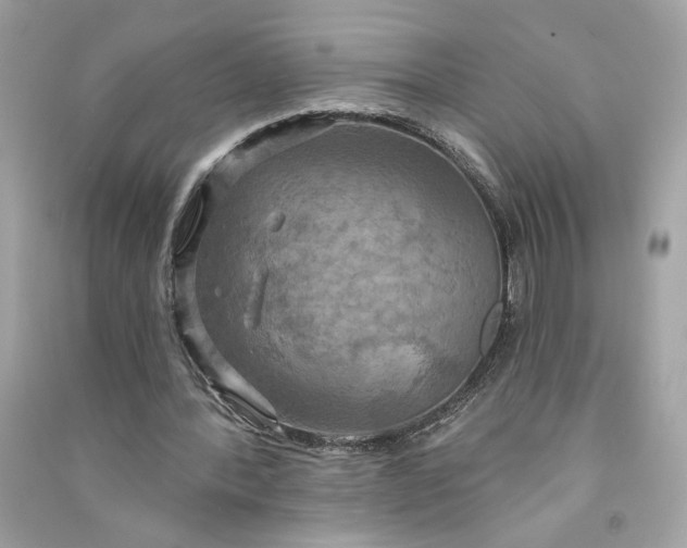 X0000090770388200708101815