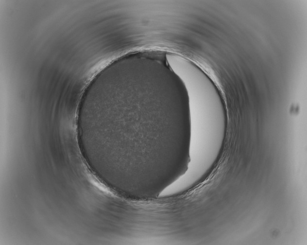 X0000090770389200708101815