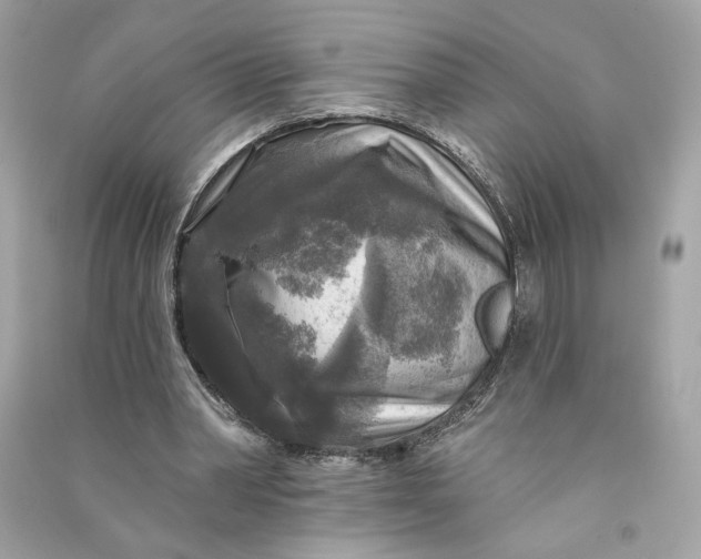 X0000090770390200708101814