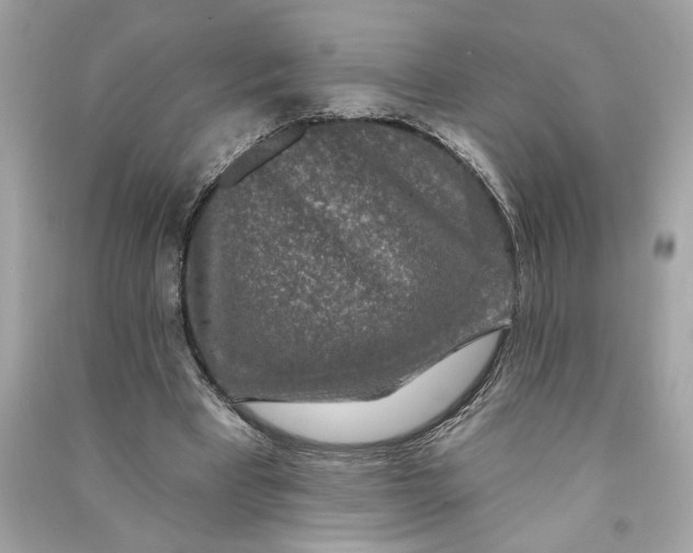 X0000090770393200708101814