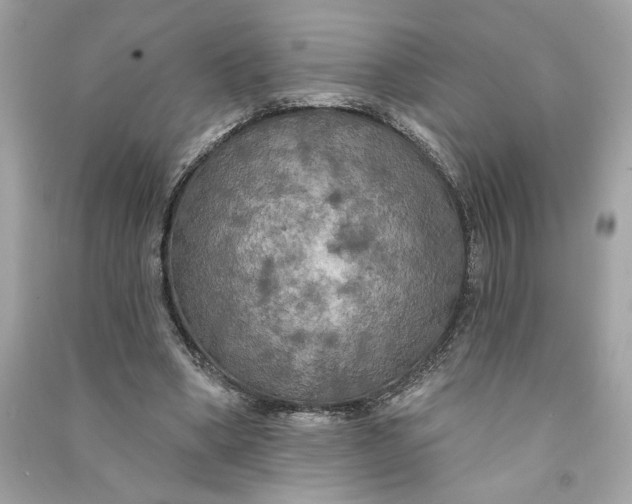 X0000090770394200708101814