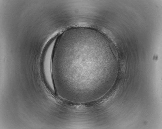 X0000090770395200708101814