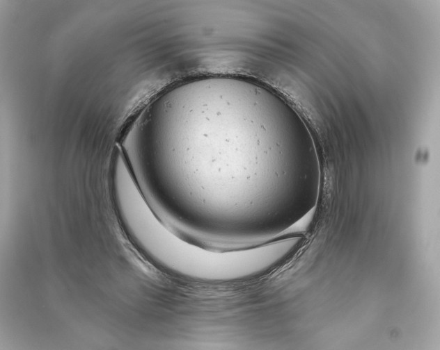 X0000090770397200708101814