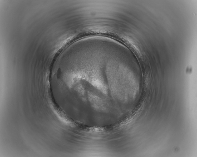 X0000090770398200708101814
