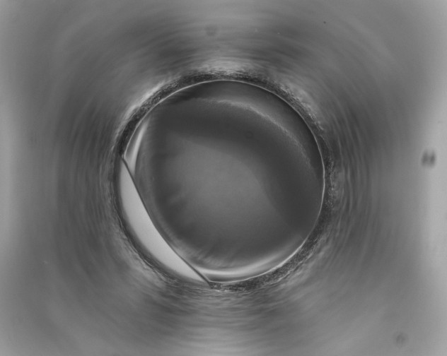 X0000090770399200708101814