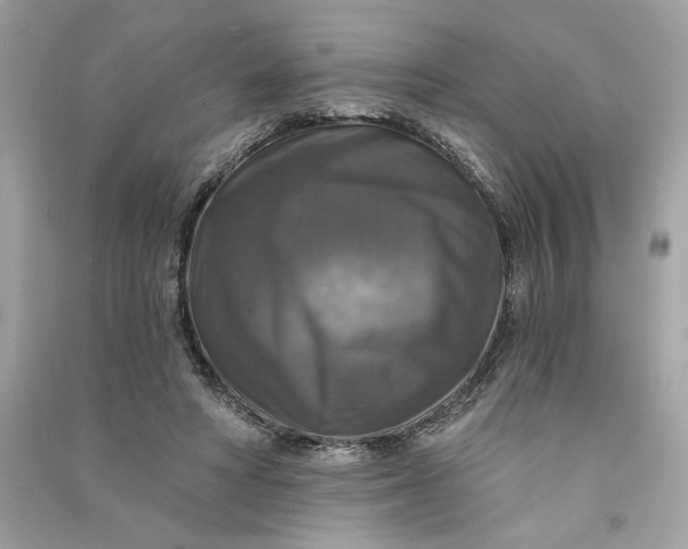 X0000090770402200708101814