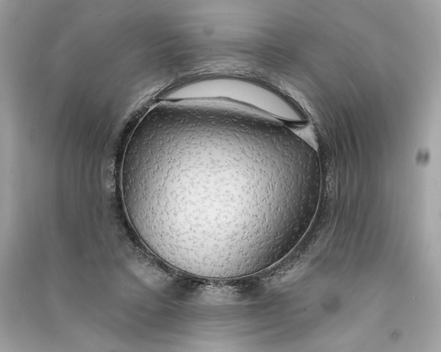 X0000090770403200708101814