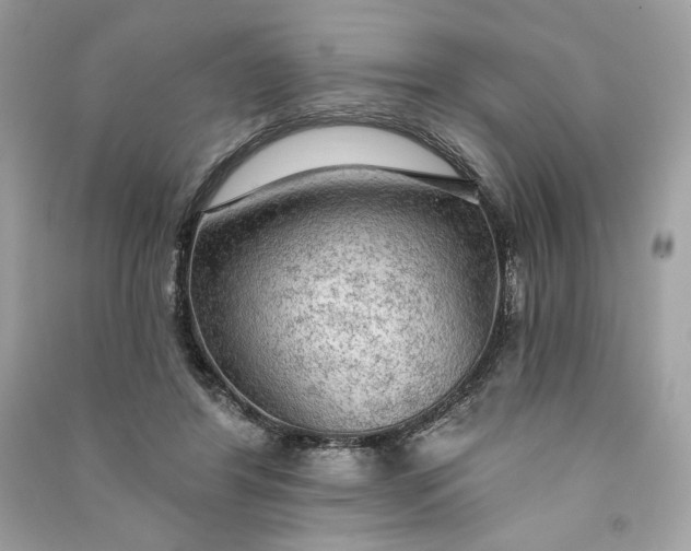 X0000090770404200708101814
