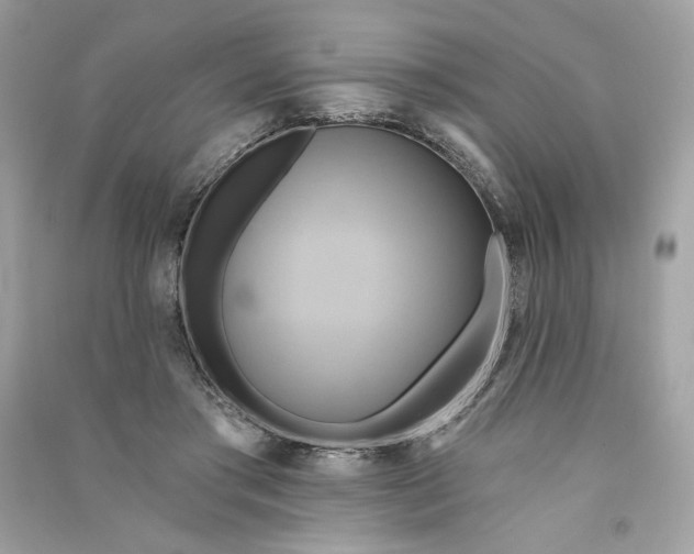 X0000090770405200708101814