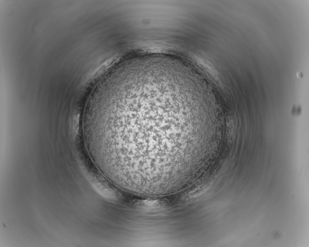 X0000090770406200708101814