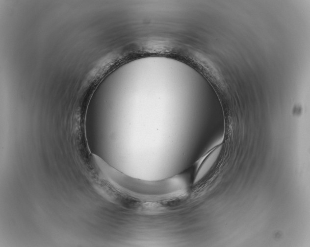 X0000090770407200708101814