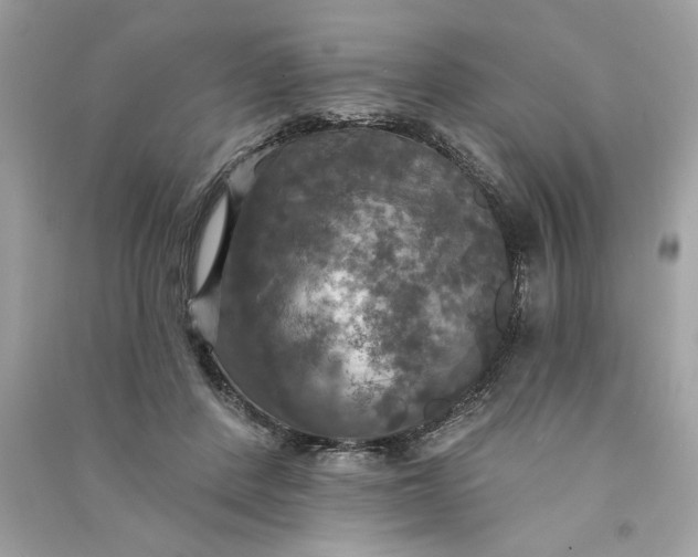 X0000090770408200708101814