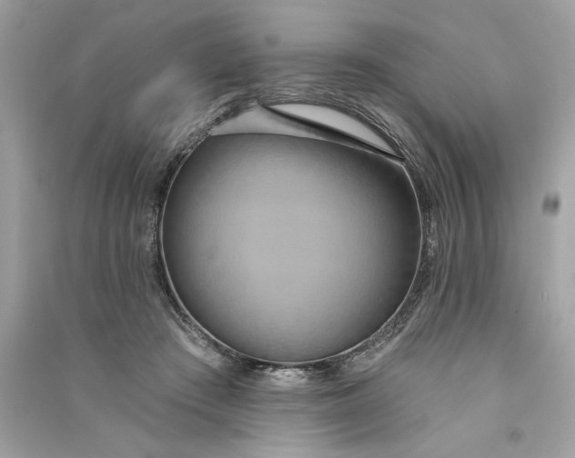 X0000090770409200708101814