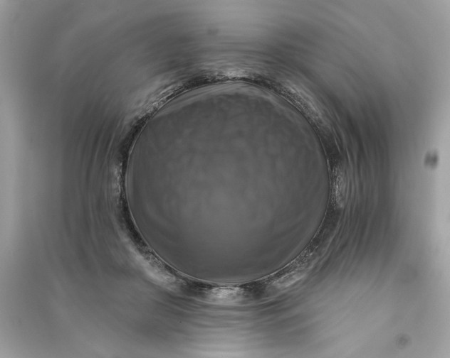 X0000090770410200708101814