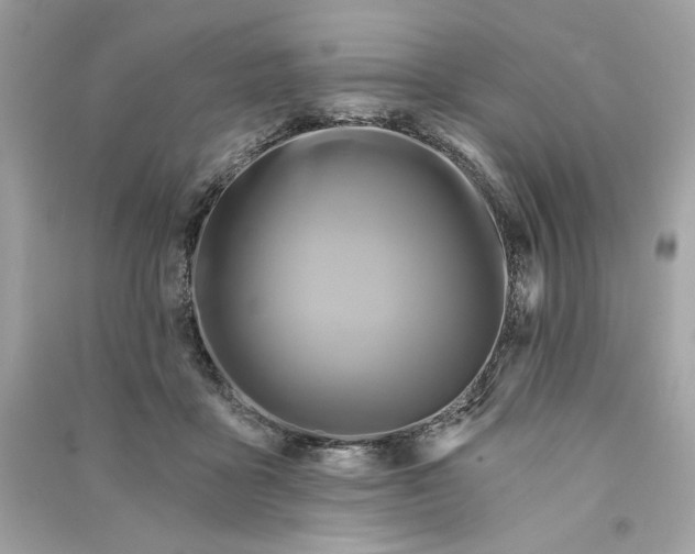 X0000090770411200708101814