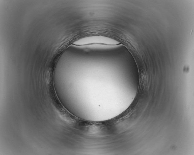 X0000090770412200708101814