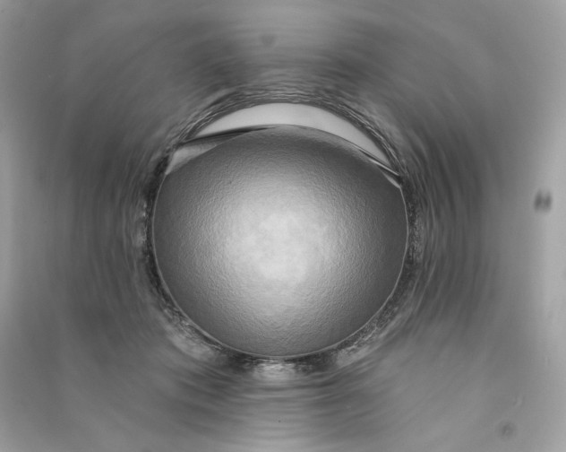 X0000090770413200708101814