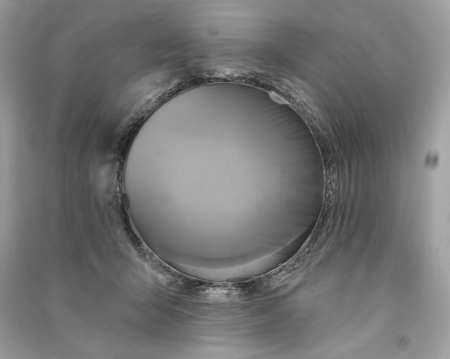 X0000090770415200708101814