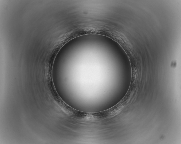 X0000090770416200708101814