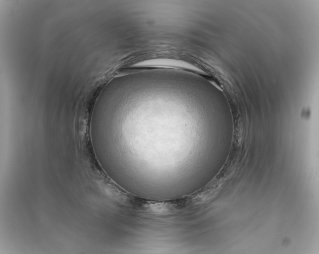 X0000090770417200708101814