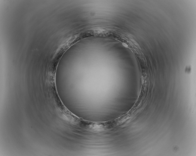 X0000090770419200708101814