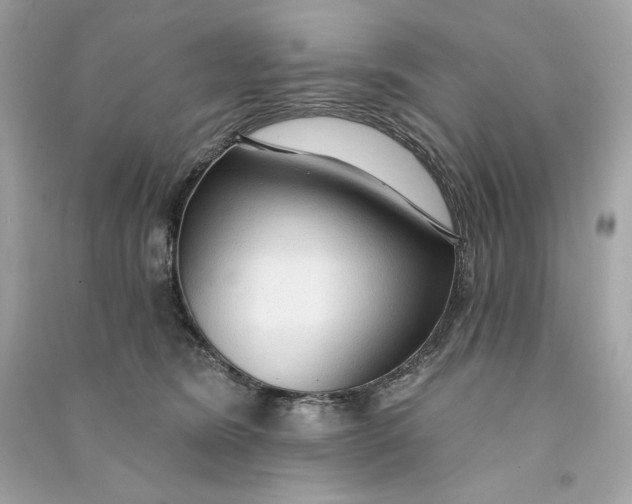 X0000090770420200708101814