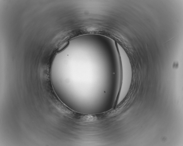 X0000090770421200708101814