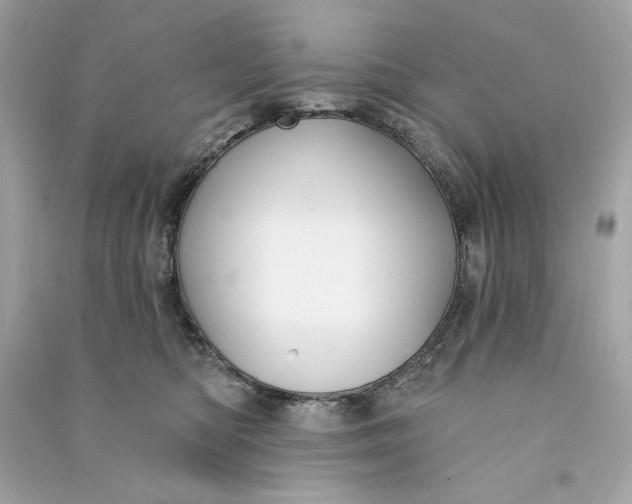 X0000090770422200708101814
