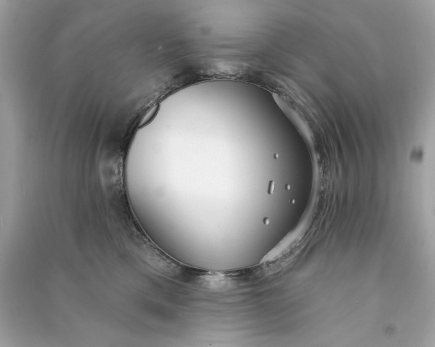 X0000090770425200708101814