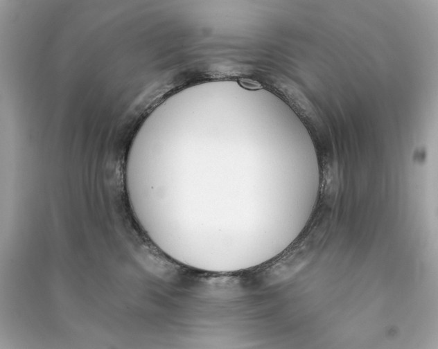 X0000090770426200708101814