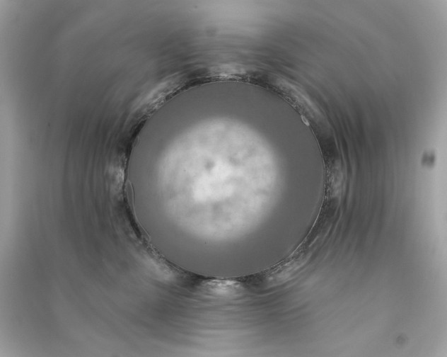 X0000090770427200708101814