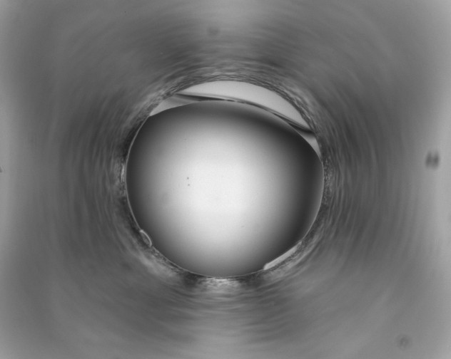 X0000090770429200708101814