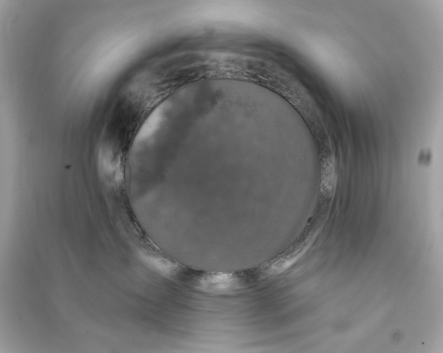 X0000090770431200708101814
