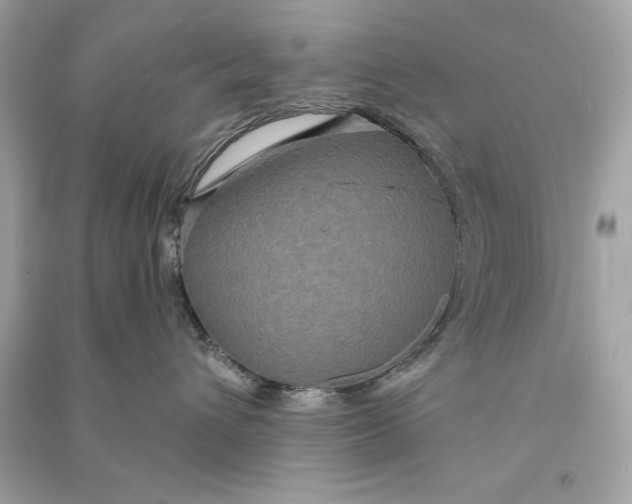 X0000090770432200708101814