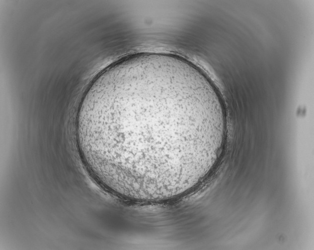 X0000090770433200708101813