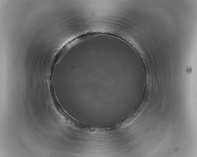 X0000090770434200708101813