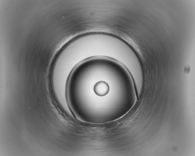 X0000090770436200708101813