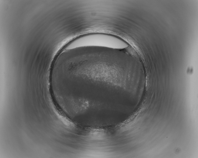 X0000090770438200708101813