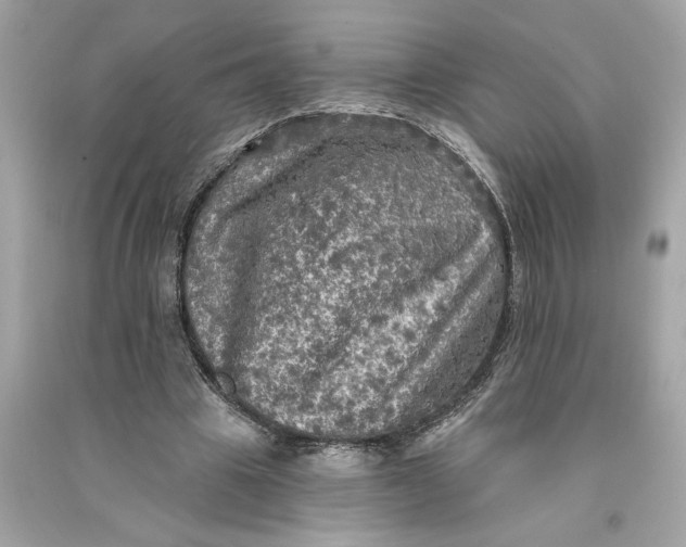 X0000090770441200708101813